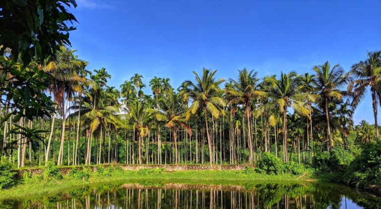 Malayali Nair Association Toronto