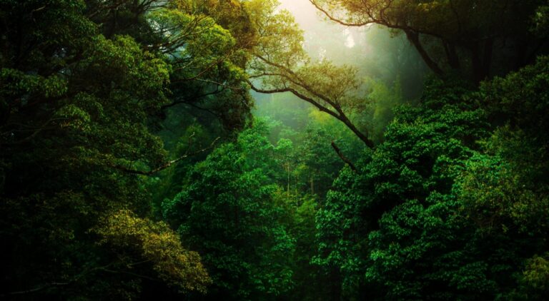 Malayali Ayurveda Clinic Ajax