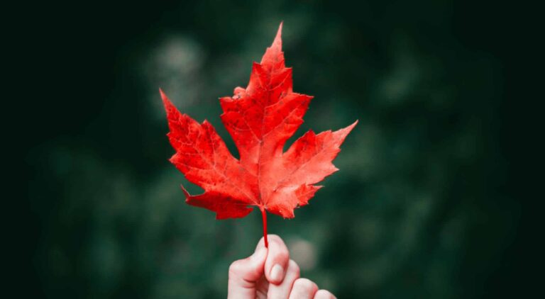 Malayalee Immigration Consultant Mississauga