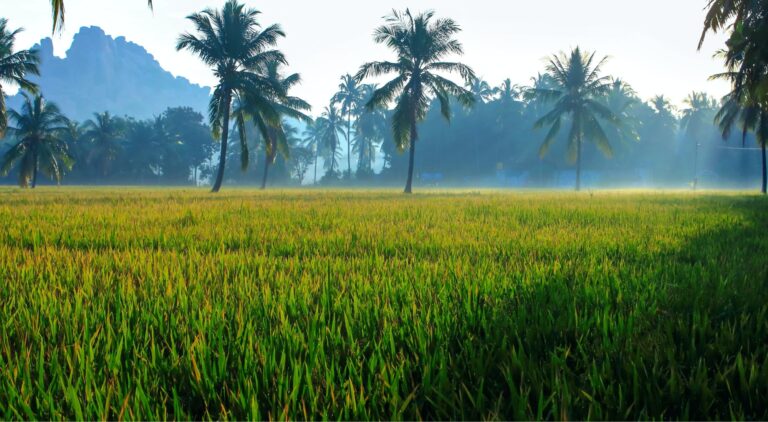 Malayali Association Mississauga